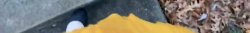 Screenshot_20191114-174112_YouTube.jpg Screenshot_20191114-174112_YouTube.jpg
