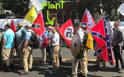 fake nazi plant.jpg fake nazi plant.jpg