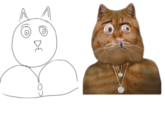 13.png 13.png