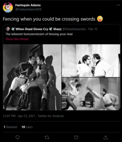 gay fencing.PNG gay fencing.PNG
