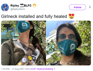 17.png 17.png