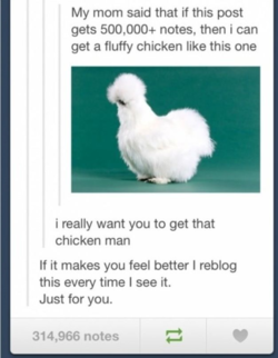 chicken.png chicken.png
