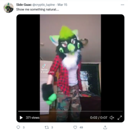 Screenshot 2021-12-04 at 12-43-25 Side Guac ( cryptic_lupine) Twitter.png Screenshot 2021-12-04 at 12-43-25 Side Guac ( cryptic_lupine) Twitter.png