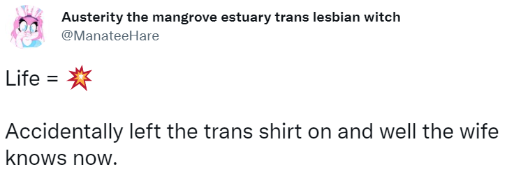 transshirt.png transshirt.png