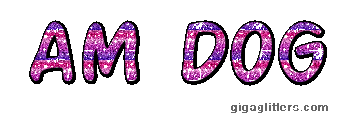 amdog.gif amdog.gif