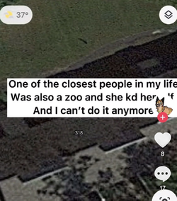 servalsuicidethreat.png servalsuicidethreat.png
