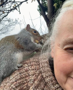 squirrel2.jpg squirrel2.jpg