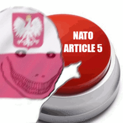 Article 5.gif Article 5.gif