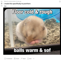 i-made-this-specifically-to-post-here-196.png i-made-this-specifically-to-post-here-196.png