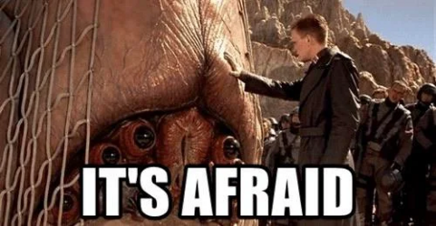 itsafraid.png itsafraid.png