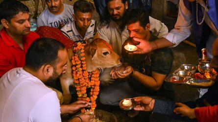230209215645-01-india-cow-worship-110122.jpg 230209215645-01-india-cow-worship-110122.jpg