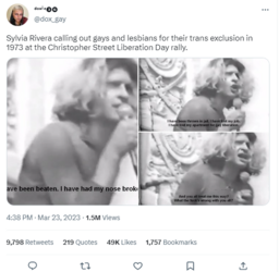 sylvia rivera.PNG sylvia rivera.PNG