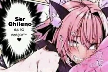 6272d2d1120ce.jpeg 6272d2d1120ce.jpeg