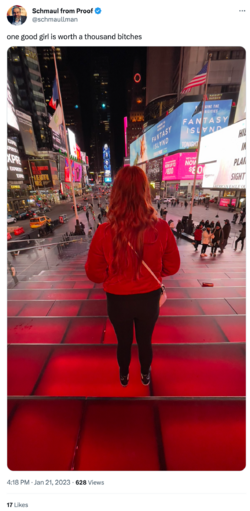 twitter.com_schmaullman_status_1616953425580662785.png twitter.com_schmaullman_status_1616953425580662785.png