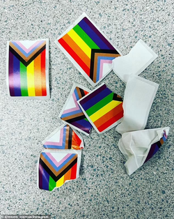 torn pride flags.png torn pride flags.png