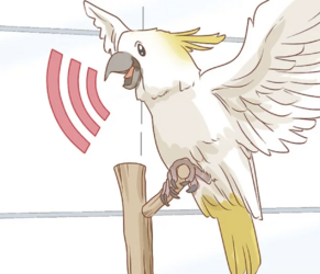 tumblr_07d2263a87eefa47d67d1be09553f7d9_75e52bf8_1280.png tumblr_07d2263a87eefa47d67d1be09553f7d9_75e52bf8_1280.png