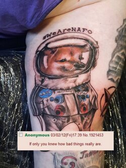 1663950981205205.jpg 1663950981205205.jpg