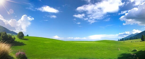 00022-423096162.jpg 00022-423096162.jpg