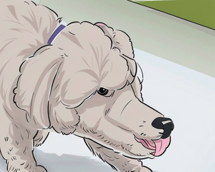 01309-2949670874-a light brown dog is walking on the ground with a white background and a gree...png 01309-2949670874-a light brown dog is walking on the ground with a white background and a gree...png
