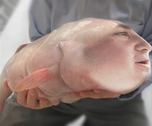 1700935348136.png 1700935348136.png