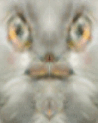 ezgif-2-be6e4c018e.gif ezgif-2-be6e4c018e.gif