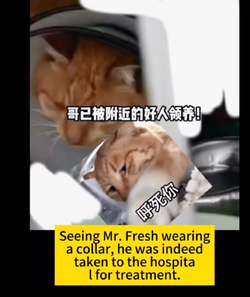 1711538351167.png 1711538351167.png