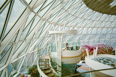 original (8).jpg original (8).jpg