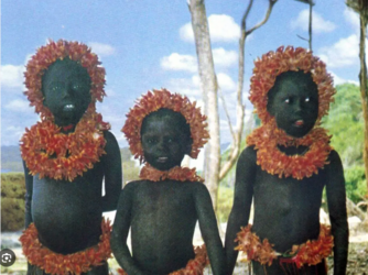 islanders.png islanders.png