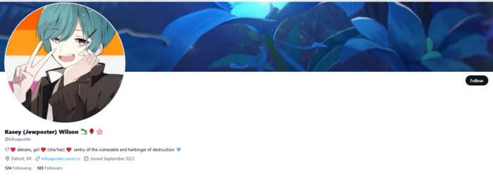 killuaposter twitter bio.png killuaposter twitter bio.png