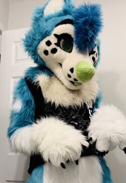 Fullsuit 2.jpg Fullsuit 2.jpg