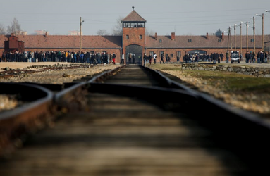 auschwitz.png auschwitz.png