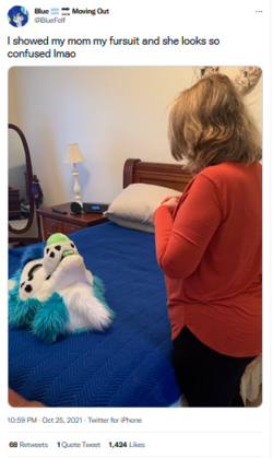 BlueFolf shows his mom his fursuit head.png BlueFolf shows his mom his fursuit head.png