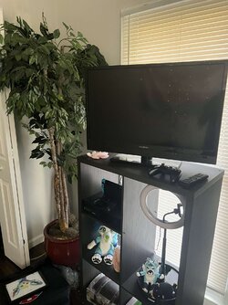 Caden room 3.jpg Caden room 3.jpg