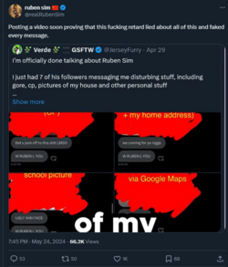 Ruben Sim annoucing a video on JerseyFurry.png Ruben Sim annoucing a video on JerseyFurry.png