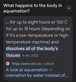 Screenshot_20241002_202922_Google.jpg Screenshot_20241002_202922_Google.jpg