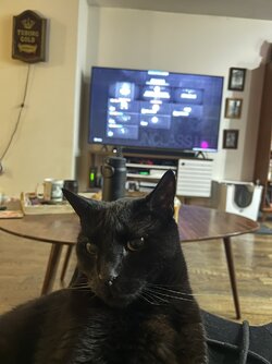 livingroom.jpg livingroom.jpg