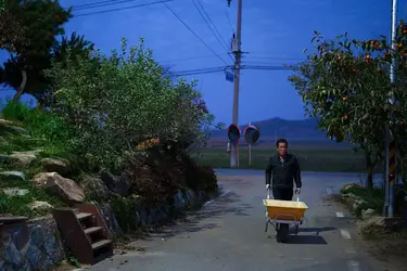 6.png 6.png