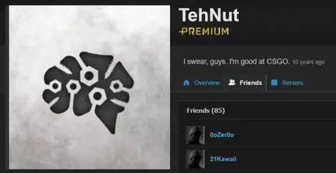 Screenshot 2025-02-17 at 20-49-17 Friends - TehNut - Battlelog _ Battlefield 3.png Screenshot 2025-02-17 at 20-49-17 Friends - TehNut - Battlelog _ Battlefield 3.png