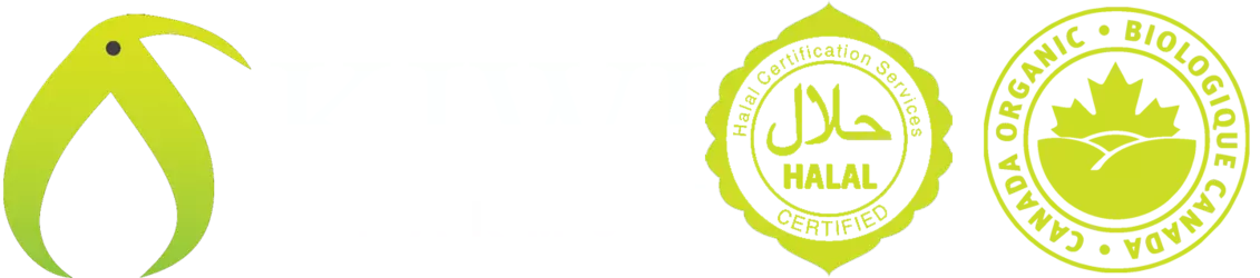 1740346945910.png 1740346945910.png