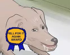 fell for it bull.png fell for it bull.png