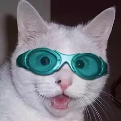 1747926581431.webp 1747926581431.webp