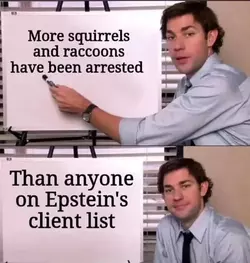 1752119515045.webp 1752119515045.webp