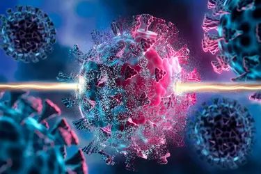MIT-Antiviral-Compounds-01-press_0.webp MIT-Antiviral-Compounds-01-press_0.webp
