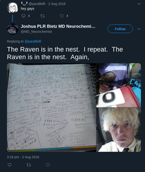 the raven is in the nest.png the raven is in the nest.png