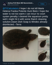 I hope I do not kill my turtle.png I hope I do not kill my turtle.png