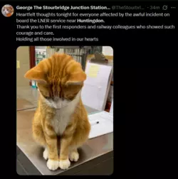 1762036913343.png 1762036913343.png