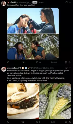 native_anawakism.png native_anawakism.png