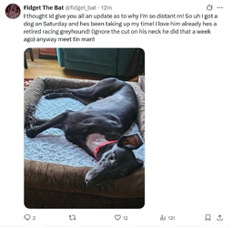 Screenshot_16-11-2025_201734_x.com.jpeg Screenshot_16-11-2025_201734_x.com.jpeg