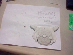 HNI_0036.JPG