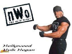 Hulk Hogan Hd wallpapers 2012 01.jpg